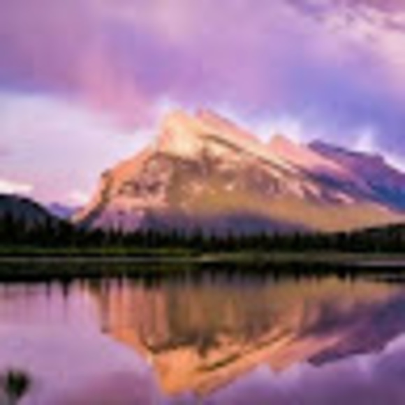 Meet your Posher, Jamie r. - Picture 1 of 1